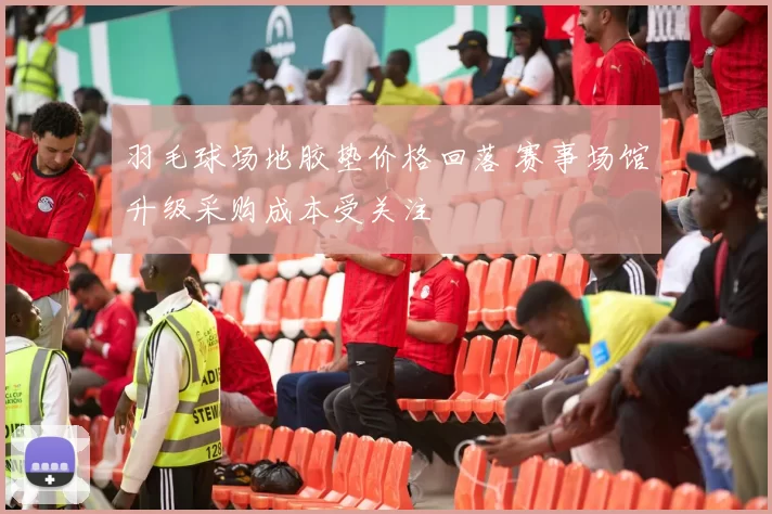 羽毛球场地胶垫价格回落 赛事场馆升级采购成本受关注